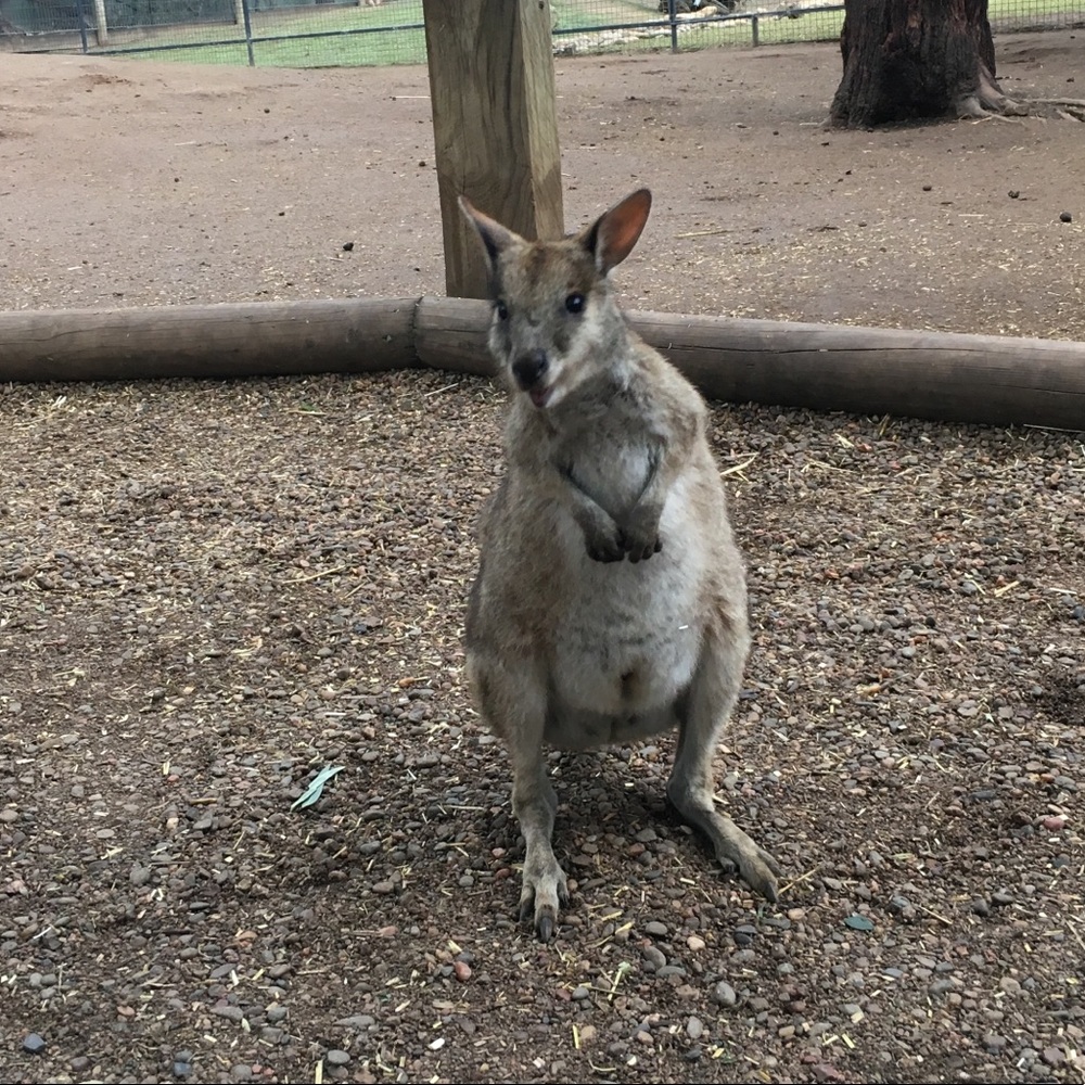 Meet your Posher, Kristen